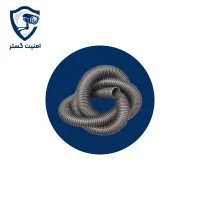 خرطومی نمره 21