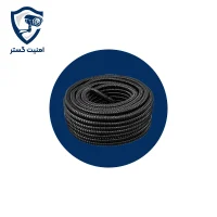 خرطومی نمره 29