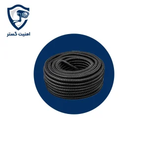 خرطومی نمره 29