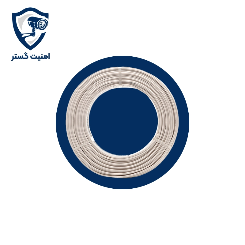 سیم سفید 2*1