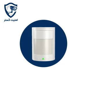 چشمی پارادوکس